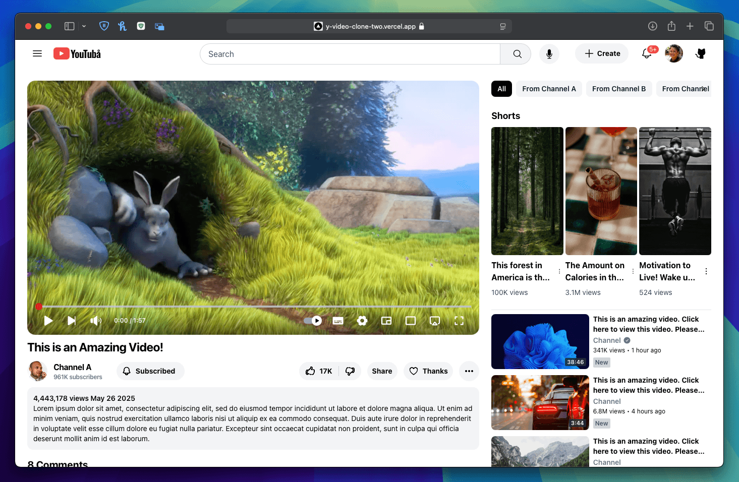 project screenshot